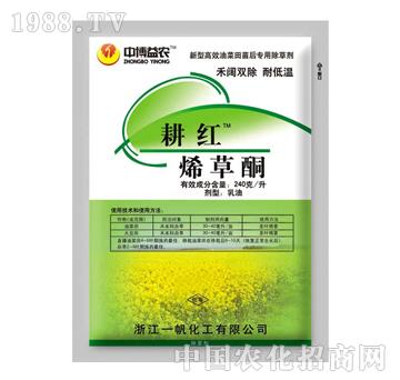 240��/��ϩ��ͪ-���t-̩�(y��ng)