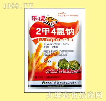 56%2��4���c-��(l��)��-嫘�(l��)��