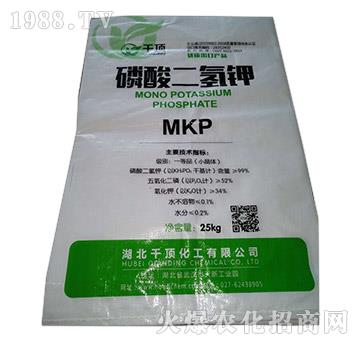 �������⛣���99%��-ǧ�