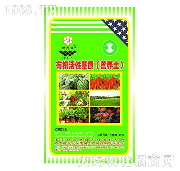 �ЙC���Ի��|(zh��)���I�B(y��ng)����-�ص���-����