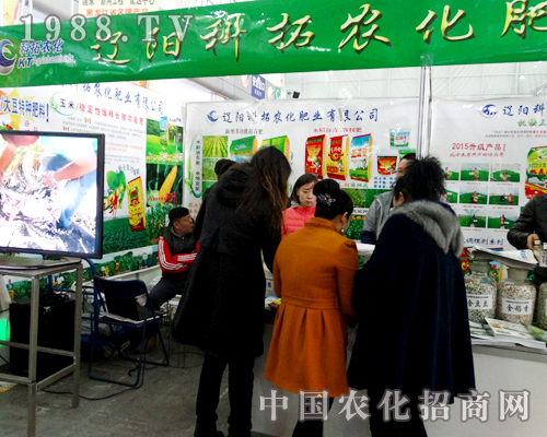 �|ꖿ�����2015�����I�N�ӕ��ς�����A��