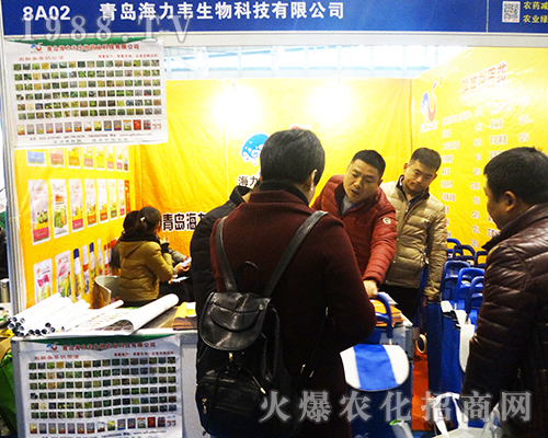 �����f����2016ȫ��(gu��)ֲ����(hu��)�F(xi��n)��(ch��ng)�ʹ�Y