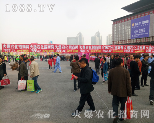     ���r(n��ng)���W(w��ng)��Ӣȫ���Ը����ل�(chu��ng)��չ�óɿ���