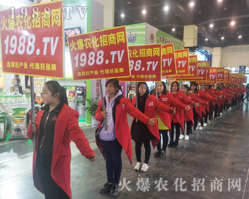 2017����Ϸ����p����(hu��)��1988.TV�����»���