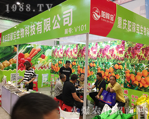 2018�V���ό��r(n��ng)�Y�����ؑcꖼڌ����(qi��ng)�ݳ���