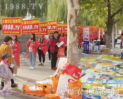     2018ɽ�|ֲ���p�����ϻ��r(n��ng)���W(w��ng)�ľ�Ӣ����ͬ�����