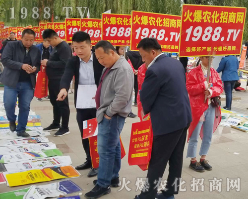     2018ɽ�|��(j��)��ֲ�����ו������r(n��ng)���W(w��ng)����ֱǰ��