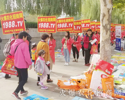     ��24��ɽ�|ֲ�����ו��ϻ��r���W��Ӣ�ɳ�������(zh��n)����