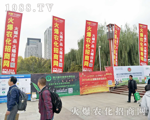 2018ɽ�|ֲ���p����(hu��)����r(n��ng)���W(w��ng)ȫ���������̹���