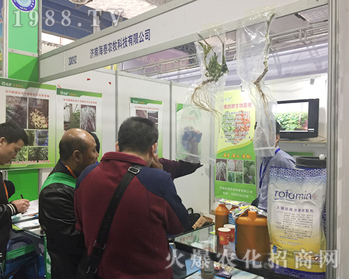 ��(j��)�Ϻ�̩�r(n��ng)����2018ɽ�|ֲ����(hu��)�W���l(f��)��