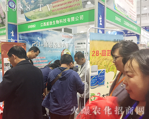 �����ݔ������ڵ�24��ɽ�|ֲ�����ו����T�x��