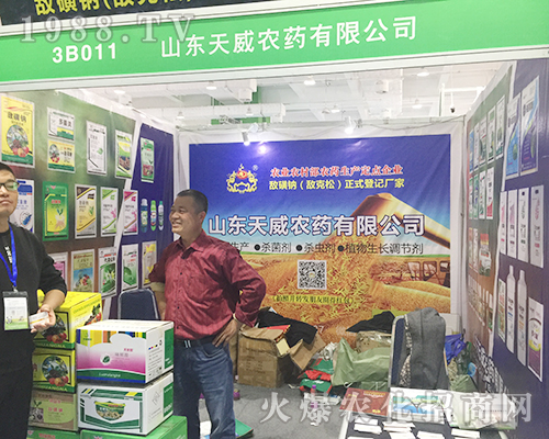 2018��24��ɽ�|����ֲ�����ו���ɽ�|�����r(n��ng)ˎ�����ƏV