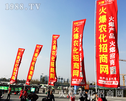 ����ʮ�Č�ȫ��ֲ���������r(n��ng)�����̾W(w��ng)�L(f��ng)��ȫ����