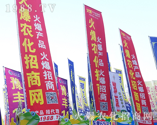     �ڶ�ʮһ�������r(n��ng)ˎ������r(n��ng)���W(w��ng)ȫ���������̹���