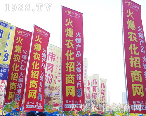 2018���������r(n��ng)ˎ����1988.TV����***��