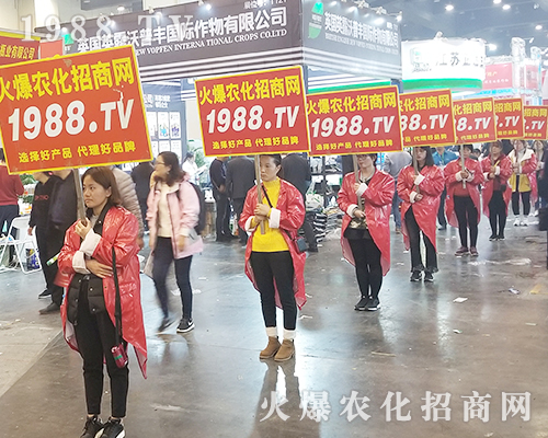     2018�����r(n��ng)ˎ�������r(n��ng)���W(w��ng)׌�fǧ�S�̳ɹ��_��(chu��ng)δ��