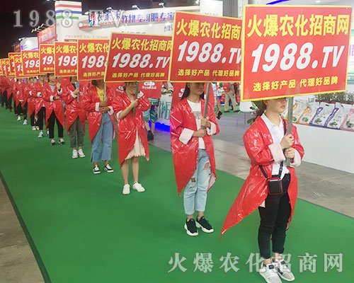 2018�����r(n��ng)�Y��(hu��)��1988.TV������������(sh��)���ɓ�