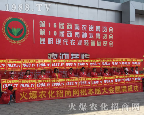 �o̎�����r(n��ng)���W(w��ng)���M�۱M�ǻ𱬼t��