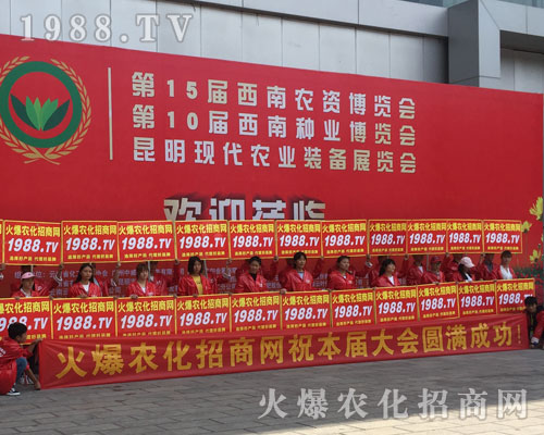 �o(w��)̎�����r(n��ng)���W(w��ng)���M(m��n)�۱M�ǻ𱬼t��