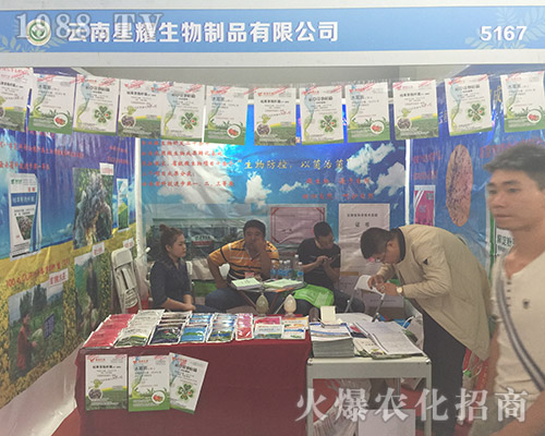 ������ҫ��2018��15�������r�Y���Ϸe�O����