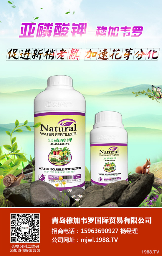 ���{ܛ��������Щ�Y����F(xi��n)������ΰl(f��)���ģ����{ܛ�����A����ʩ