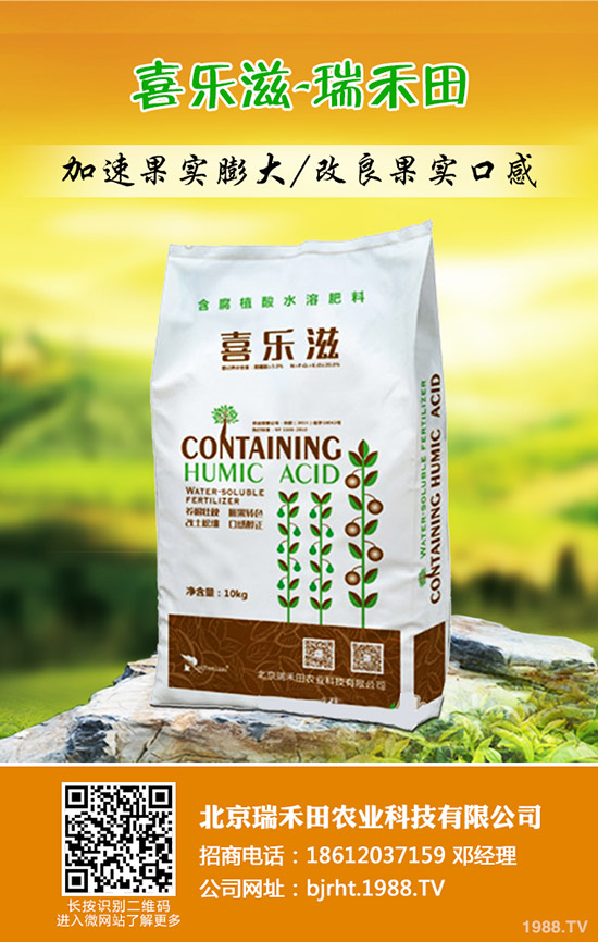 大蒜什么時(shí)候種植,大蒜種植方法是什么?