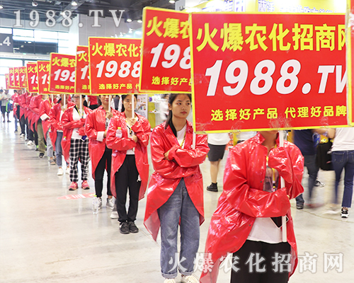     2019�Ϸ��r(n��ng)�Y���[���ϻ��r(n��ng)���W(w��ng)��Ӣ�ɳ�������(zh��n)����