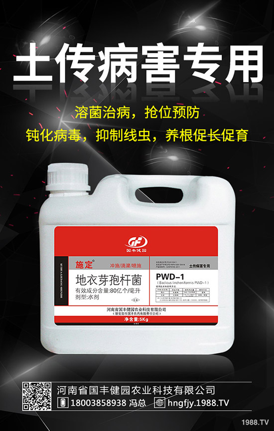 С�����݄�ʲô�r������С������݄��ĕr�g��ע�������