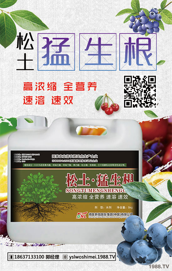 С�����ڞ�ʲô���������С������������զ�a����