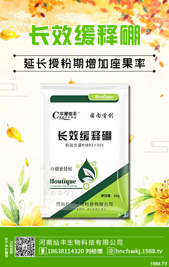 ���X(qi��n)�ݺ��~�X(qi��n)����ʲô��ͬ�����X(qi��n)�ݺ��~�X(qi��n)�ݵą^(q��)�e��Щ��