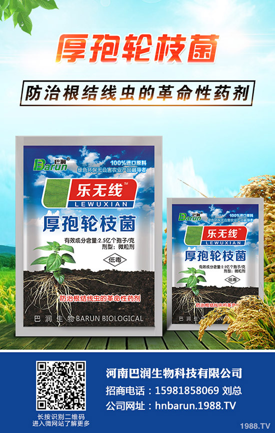 三角梅怎么養(yǎng)，三角梅的養(yǎng)殖方法和注意事項(xiàng)！