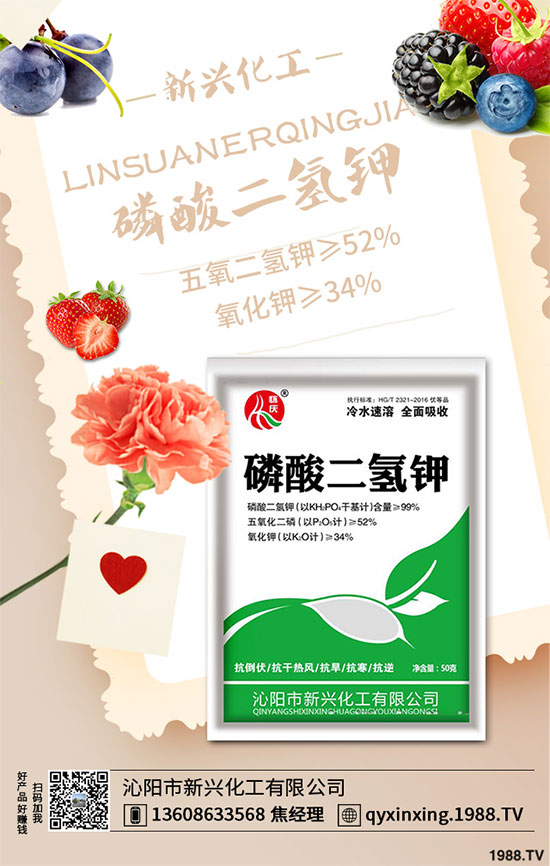 香蔥連作危害大，到底該如何解決？香蔥連作障礙及高產(chǎn)管理技術(shù)！