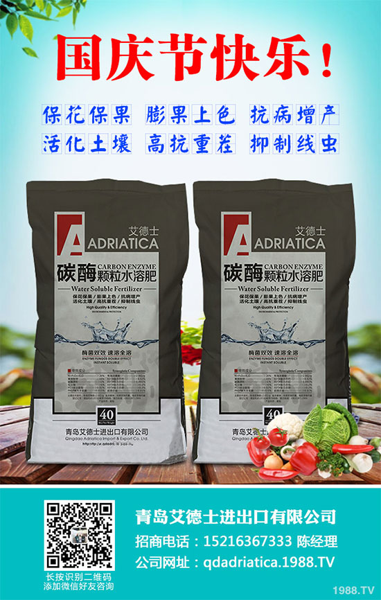 香蔥連作危害大，到底該如何解決？香蔥連作障礙及高產(chǎn)管理技術(shù)！