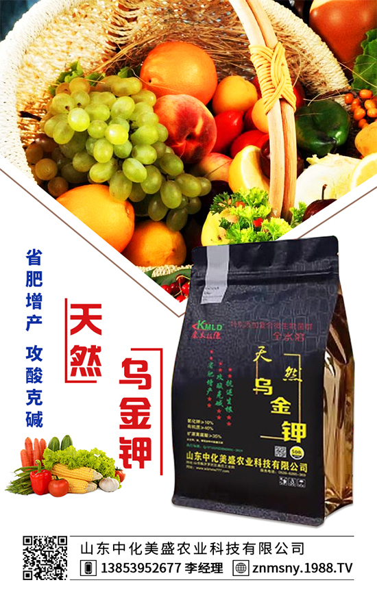 �۲˞�ʲô�����F(xi��n)�������۲˿��ĵķ��δ�ʩ��