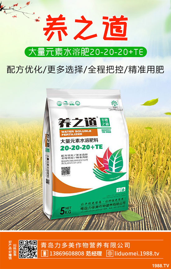 �ײ˰��P��Σ���@ô��������ԓ��η������ײ˰��P�����δ�ʩ