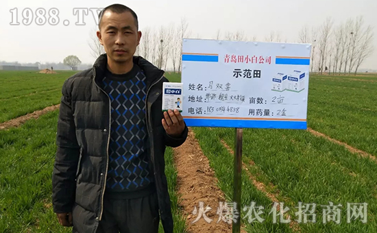 節(jié)節(jié)麥如何防除,用什么藥?