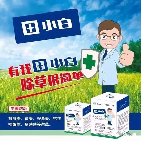 節(jié)節(jié)麥如何防除,用什么藥?怎么打藥效果好?