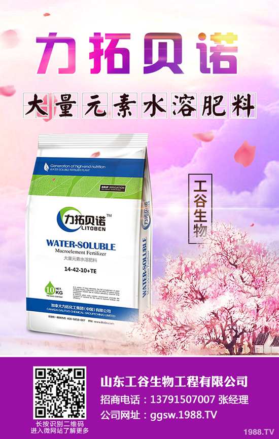     �������鼴���������������؃r�������A(y��)�y2019-10-22