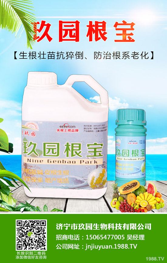 �������x��η����������x��Σ�����l(f��)��Ҏ(gu��)�ɣ�