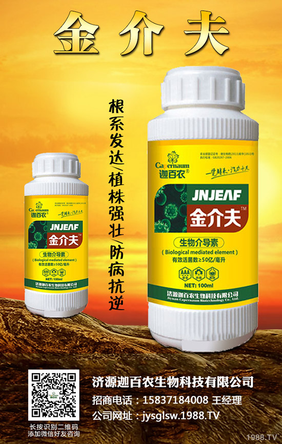 ���������o��������ô�k�������o���������\���c������