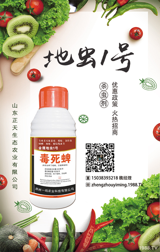 �����}����ηNֲ�������}����Ҫע��ʲô��