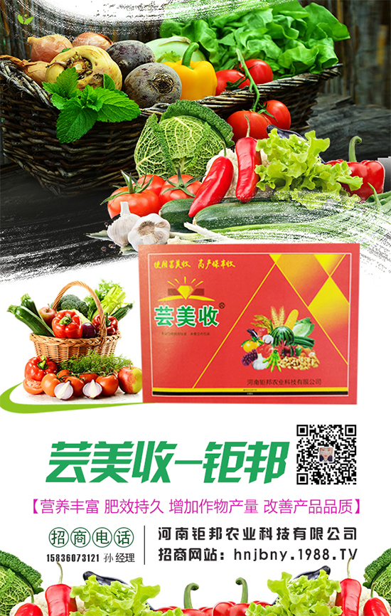 �����}�����L��(du��)�h(hu��n)���l��Ҫ���������}����ôʩ����