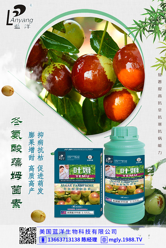 �ײ�ܛ��������������������ЩΣ�����ײ�ܛ�����İl(f��)���c����