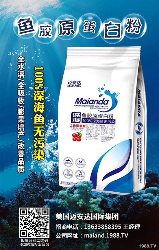 �ײ�ܛ�������������ģ�����ЩΣ�����ײ�ܛ�����İl(f��)���c����