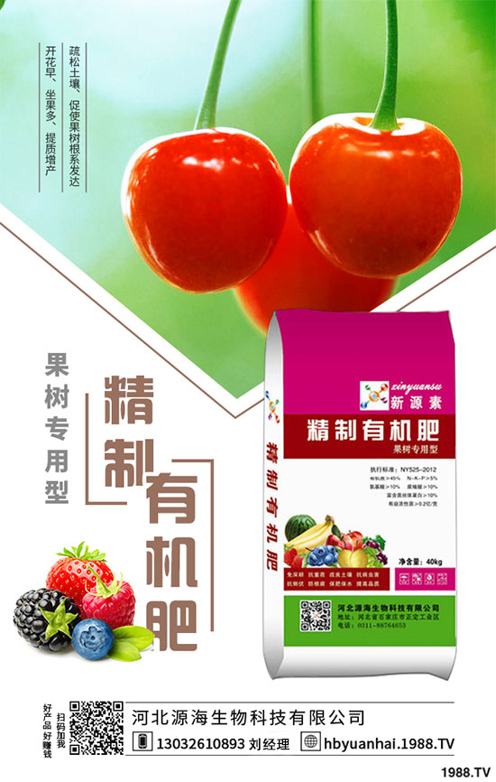 2020���㹽�Nֲǰ����Σ�2020���㹽�Nֲٍ�X����