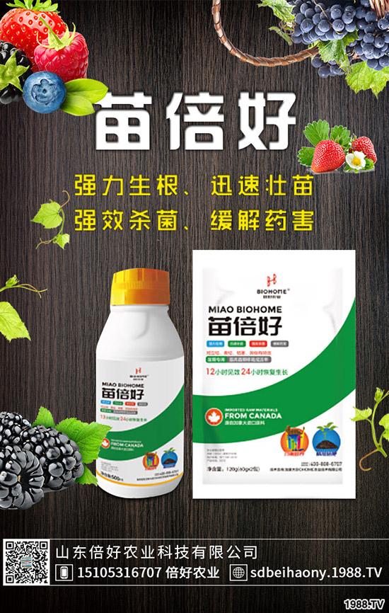 ����ʲô�r(sh��)��Nֲ������ʲô�r(sh��)�������