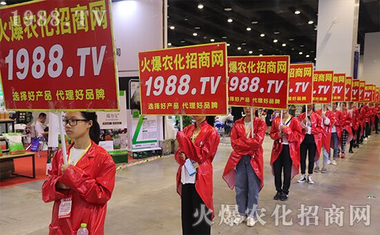 ǧ�̅R������Ʒ�Ƽ�|2019�����r(n��ng)����ʢ���_Ļ��