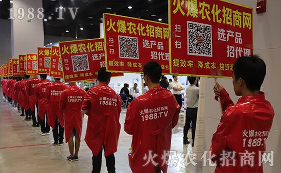 ǧ�̅R������Ʒ�Ƽ�|2019�����r(n��ng)����ʢ���_Ļ��