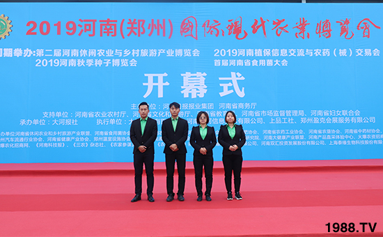 ǧ�̅R������Ʒ�Ƽ�|2019�����r(n��ng)����ʢ���_Ļ��