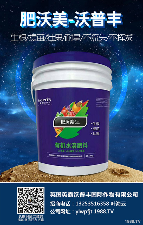     �f�������������źܶ����Ѷ�ϲ�g������Փ�ǳ�������߀�ǠC���������˶��в�һ�ӵ��L(f��ng)ζ�����������҂���Ҋ�ĵ��߲�֮һ�������˵ĠI(y��ng)�B(y��ng)�r(ji��)ֵ�Ը������������h(yu��n)�h(yu��n)��(y��u)���n�S����ô�������˵ĠI(y��ng)�B(y��ng)�r(ji��)ֵ����Щ��������������Щ��̎����